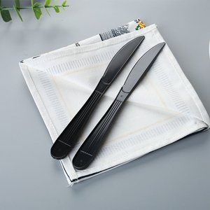 Nhiệm Vụ Nặng Nề 5G PP Muỗng Nhựa Dùng Một Lần Đồ Dùng Dao Kéo Đặt Nhựa Muỗng Nĩa Và Dao Cá nhân Bao Bì Dao Kéo Thiết Lập - Product Image 5