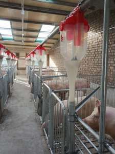 Seau quantitatif d'équipement d'élevage de porc de nouvelle condition de haute qualité pour nourrir les truies fabriquées en Chine - Product Image 4