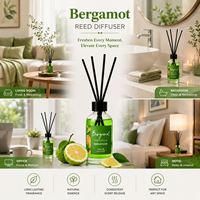 Diffuseur à bâtonnets 100 ml avec bâtonnets de rechange, recharge d'huile parfumée longue durée pour la maison, assainisseur d'air ambiant, lot économique pour la maison