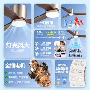 <b>Ceiling</b> <b>Fan</b> Light Fixed Blade 220V LED Flush Mount Silent For Living Room Bedroom Study - Product Image 1