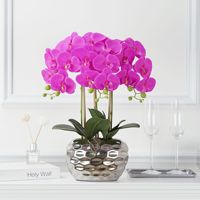 Lot de fleurs artificielles Phalaenopsis en pot de céramique, fausses fleurs en soie, ensemble de bonsaïs, orchidées en pot de porcelaine pour chambre, hôtel, porche