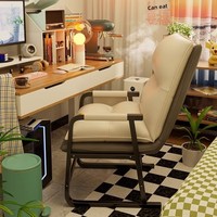Chaise d'ordinateur confortable, design ergonomique, design simple et moderne, chaise de jeu réglable, dossier en nylon et acier inoxydable