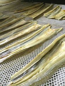 Essiccatore a Pompa di Calore per Pesce con Risparmio Energetico del 60% - Product Image 6