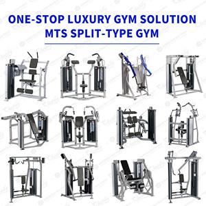 Equipo Deportivo Compatible con Hammer Strength MTS Pin Load Bicep <span class=keywords><strong>Curl</strong></span>, Máquina de Gimnasio de Lujo para Entrenamiento de Fuerza, Solución Integral para Gimnasios Comerciales Inteligentes - Product Image 2