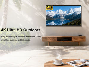 ทีวีกลางแจ้ง 4K UHD ขนาด 55 นิ้ว/65 นิ้ว พร้อม <span class=keywords><strong>LG</strong></span> <span class=keywords><strong>WebOS</strong></span>, กันน้ำ IP65 ความสว่าง 2500nits สำหรับบาร์และสวนในบ้าน จัดส่งฟรี มีสินค้าในสหรัฐอเมริกา - Product Image 4