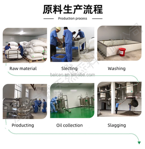10:1 20:1薬用リグスチリド用バルクアンジェリカ根エキス粉末伝統的な中国の医療材料 - Product Image 4