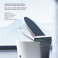 Toilette intelligente électrique de luxe en céramique avec eau chaude instantanée, lavage arrière et hygiène féminine pour salle de bain
