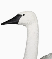 Décoy de cygne en plastique PE pour le Canada, avec piquet, décoration de jardin, décoys de cygne des neiges, détails réalistes, attire les oiseaux aquatiques