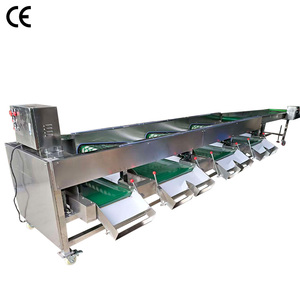 Máquina Automática Clasificadora de Frutas: Naranjas, Patatas, Tomates, Peras y Cerezas Azules - Product Image 1