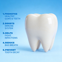 Capsules de probiotiques buccaux ProDentim en marque privée OEM pour adultes, 60 capsules, favorisent la santé des dents et des gencives