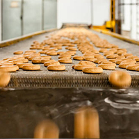 Four tunnel automatique pour la cuisson de biscuits et gâteaux, four tunnel pour biscuits, four à biscuits au gaz/au fioul