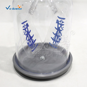 Simulateur de mouvement du diaphragme pour l'enseignement ; Appareil d'expérimentation sur la ventilation pulmonaire ; Matériel de démonstration pour cours de biologie. - Product Image 2