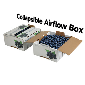 Caixa De Exportação De Frutas De Papelão Empilhável Caixas De Embalagem De Papel De Frutas Onduladas Caixa De Caixa De Blueberry Personalizada