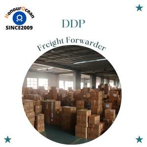 Transporte marítimo internacional <span class=keywords><strong>Contenedor</strong></span> de carga Agente logístico Transporte en línea Servicio puerta a puerta <span class=keywords><strong>Precio</strong></span> de envío marítimo - Product Image 3