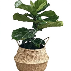 Custom Handmade Vintage <b>Seagrass</b> <b>Storage</b> <b>Basket</b> Eco-Friendly Woven Multifunction <b>Basket</b> for Home Decor Gifts Wholesale - Product Image 1