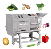 Kessler Industriële Automatische Roestvrijstalen Aardappelchip Groentesnijmachine Fruitvriendelijke Kern Motor Component 380V 1
