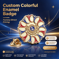 Épinglette personnalisée en émail dur plaqué or avec fermoir papillon, badge métallique sur mesure, logo personnalisé, souvenir pour cadeau promotionnel