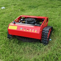 Mini tondeuse à gazon de jardin à essence de China Rail nouvelle télécommande prix compétitif de machine agricole moteur conception de virage zéro pour