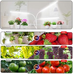 Lampe horticole de croissance LED, 3 têtes réglables, minuterie/connexion usb, spectre complet, intensité variable, éclairage pour culture de plantes, pour l'intérieur et l'extérieur - Product Image 6