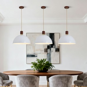 Lámpara Colgante Moderna de Altura Ajustable, Personalizada OEM, Decoración de Iluminación Interior para Hogar, Restaurante, Cafetería - Product Image 5