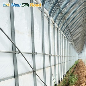 Kit de serre solaire <span class=keywords><strong>passive</strong></span> à portée unique en acier galvanisé de Chine, petite taille, système hydroponique, film PE, vente de plantes - Product Image 4