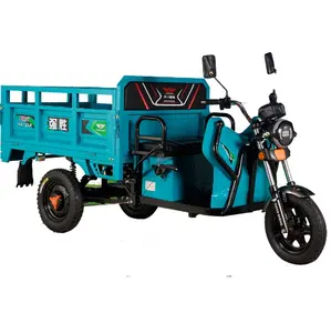 Compras online Scooter de mobilidade para deficientes de 3 rodas Triciclo elétrico Cargo