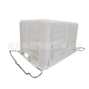 Caja de Plástico Número 3 para Frutas y Verduras, Blanca, Ventilada, para Transporte y Almacenamiento, Tamaño Estándar, Material PEPP - Product Image 3