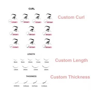 Extensions de <span class=keywords><strong>cils</strong></span> 3D 4D 5D en forme de W, U, Clover, Y, 0,07 mm, double pointe, éventails préfabriqués C D, extensions de <span class=keywords><strong>cils</strong></span> marque privée - Product Image 4