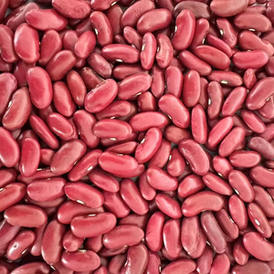 Offre Spéciale NOUVELLE CULTURE Haricots rouges foncés - Product Image 1