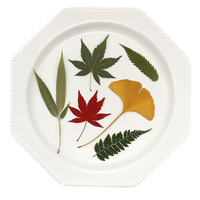 Daun Alami yang Dipres dan Dikeringkan, Daun Maple, Ginkgo, dan Pakis untuk Kerajinan Resin DIY, Bingkai Foto Maple Pakis Bambu, dan Kerajinan Jurnal