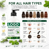 Shampoo naturel à la menthe et au romarin avec biotine pour cuir chevelu gras, irrité et sensible, nettoyage doux, contrôle du sébum, sensation rafraîchissante, OEM/ODM