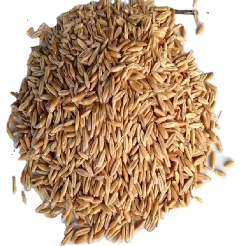 Lúa mạch hữu cơ cho thức ăn/Vỏ ngọc trai lúa mạch groats thức ăn chăn nuôi tự nhiên nguyên mạch nha lúa mạch
