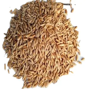 Orge biologique pour l'alimentation animale/Gruau d'orge perlé décortiqué Alimentation animale Orge brute naturelle de malt