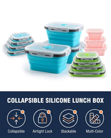 Boîte à lunch pliable en silicone sans BPA, micro-ondable, portable, conteneur de stockage alimentaire bento, école, pique-nique, camping, livraison gratuite
