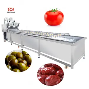 Gelgoog Red Dates Línea de procesamiento de lavado Máquina de limpieza y clasificación de tomates para lavar aceitunas