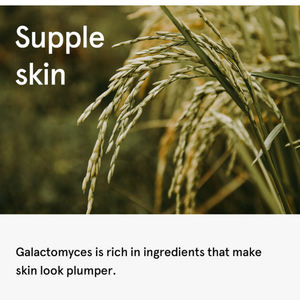 Galactomyces Vitamine C Rose Acné Toner Visage Soins de la Peau Eau Riz Toner Coréen Noir <span class=keywords><strong>Brume</strong></span> Hyaluronique Spray Riz Peau Toner - Product Image 4