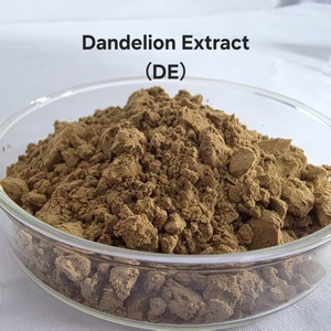 Pó de Extrato Herbal de Raiz de Dente-de-Leão Natural Personalizável, Extraído por Solvente, 99% de Ácido Clorogênico Padrão, Grau Alimentício, 25kg - Product Image 4