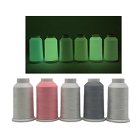 Fil photoluminescent 100% polyester FDY DTY, fil brut résistant à l'eau pour applications textiles de sécurité en extérieur