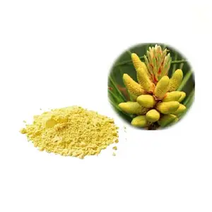 ISO טבעי טוהר אבקת פולן דבורים עם בתפזורת מחיר פרח polle אבקת אורן תה אבקת עבור מכירה לוהטת
