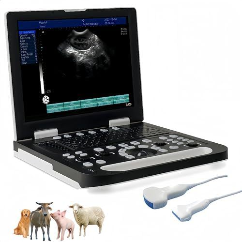 Reusable Dog Veterinary Hospital Emergency Portable