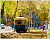 Vagón Eléctrico para Transporte de Pasajeros, Tren Turístico Personalizado para Áreas Escénicas
