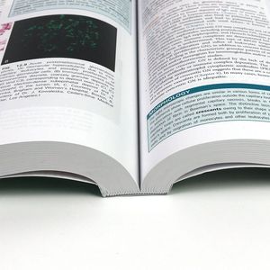 Stampa di Alta Qualità di Libri di Storie, Fumetti, Riviste e Cataloghi con Logo Personalizzato in Rilievo su Cartone e Carta - Product Image 4