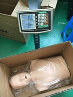 Maniquí de RCP de Medio Cuerpo CPR100A ADA de PVC, Modelo Anatómico, Simple, Electrónico, para Primeros Auxilios, Escuelas, Ciencias Médicas, Entrenamiento de Enfermería