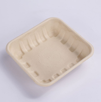 Wegwerp servies vierkante bagasse pulp schaal, extra sterk, 100% biologisch afbreekbaar voor voedsel, fruit, restaurants, bruiloften en feesten