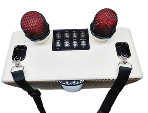 Cámara de individuación Altavoz inalámbrico Fiesta de <span class=keywords><strong>karaoke</strong></span> portátil Altavoz BT con micrófono Altavoz Bluetooth - Product Image 4