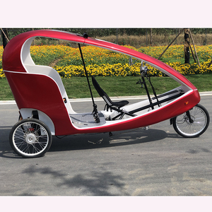 Triciclo Elettrico a Pedalata Assistita a 6 Velocità per 2 Passeggeri, Sedile Reclinabile, Batteria Automatica, Produttore Cinese - Product Image 1