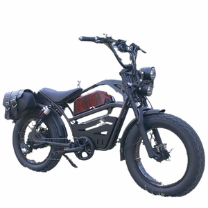 <span class=keywords><strong>Acier</strong></span> de 20 pouces, fabrication américaine Vélo électrique à pneus larges pour adultes, avec double amortisseur, moteur arrière 1500W sans balais, batterie lithium 48V 15AH - Product Image 5