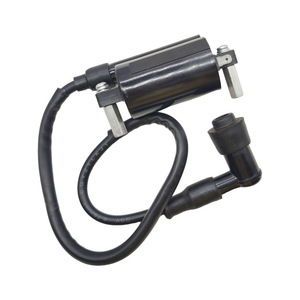 Bobina de encendido Jilong para motocicleta Suzuki GS125 GN125 GT125 EN125 de un solo cilindro, pieza de repuesto - Product Image 2