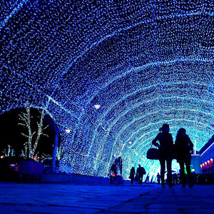 Đèn dây <span class=keywords><strong>LED</strong></span> trang trí hình cây đường hầm 220V 12V 24V, dài 10m 50m, ánh sáng trắng ấm, bán buôn từ nhà máy - Product Image 2