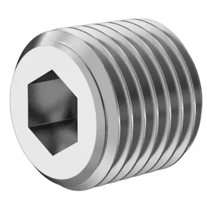 Best selling CNC machined allen Hex Drive screw male Pipe Fitting Plug Factory price